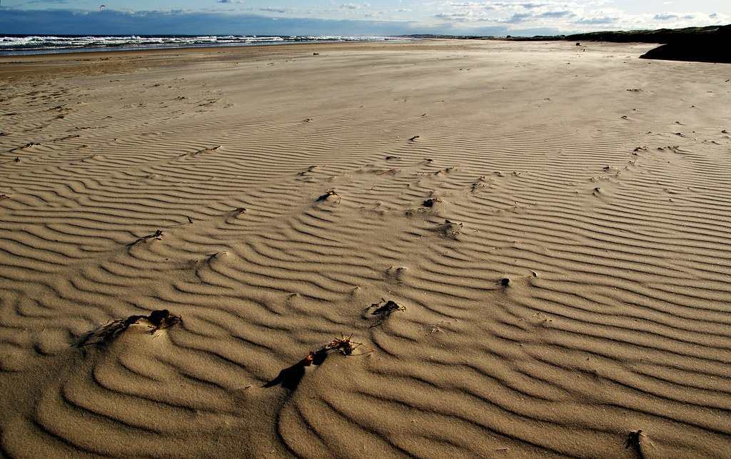 Wind-rippled sand of the Oregon Dunes at Florence, surf on the horizon