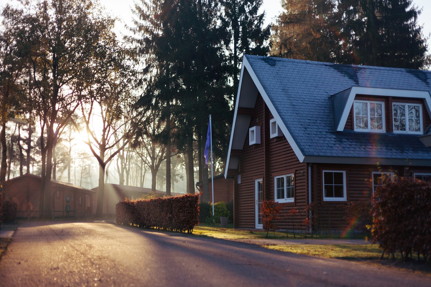 A cabin tucked into the coastal evergreens at golden hour